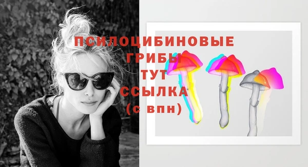прущие грибы Заводоуковск