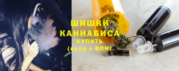 прущие грибы Заводоуковск