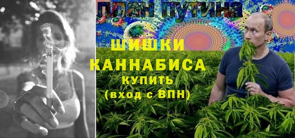 прущие грибы Заводоуковск