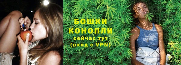 гидра Чегем