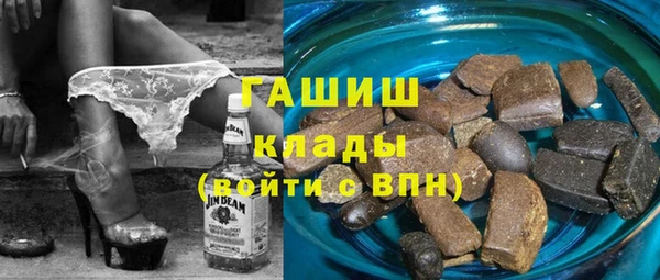 прущие грибы Заводоуковск