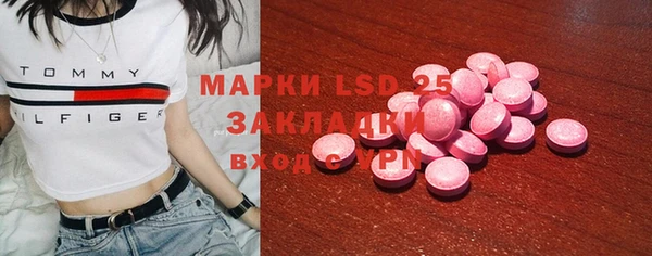 прущие грибы Заводоуковск