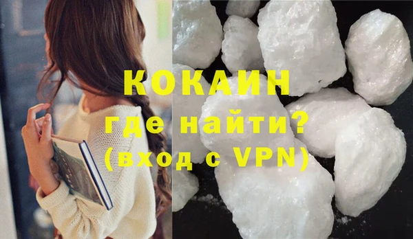 прущие грибы Заводоуковск