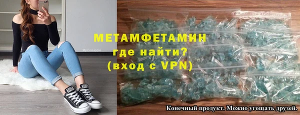 прущие грибы Заводоуковск