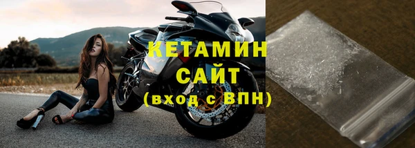 прущие грибы Заводоуковск