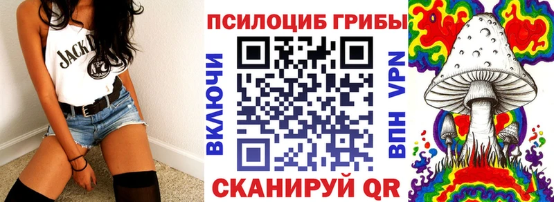 где найти наркотики  Зея  МЕГА онион  Псилоцибиновые грибы Psilocybine cubensis 